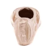Capezio Develope 5.5, balett spicc cipő Capezio Develope 5.5, balett spicc cipő