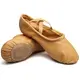 Dancee Practice, női balett gyakorló cipő - Testszínű - barna