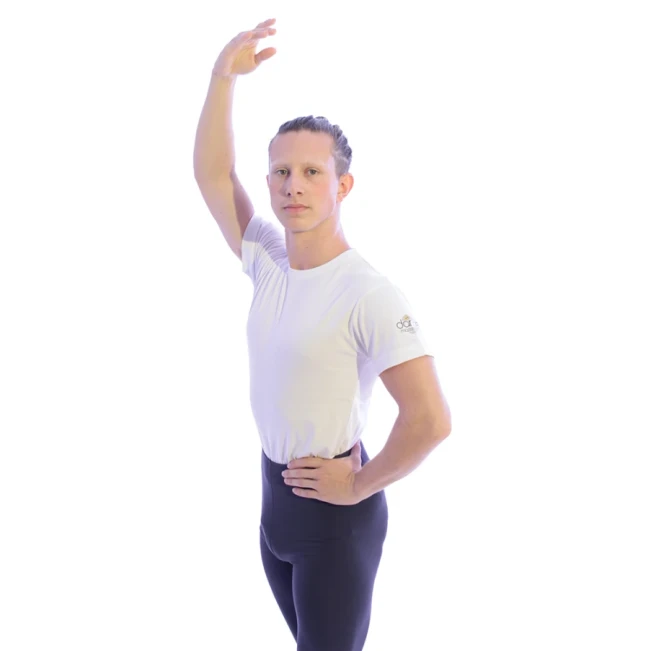 DanceMaster training T, férfi póló